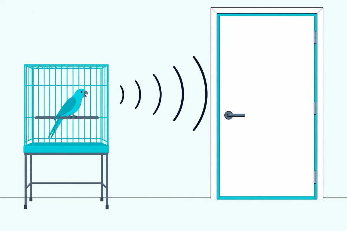 A bird room door sealed with a bottom sweep and foam weatherstrip, holding the cage's sound in