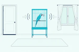 A parrot cage on a stand in a bright room, between a closed door and a curtained window